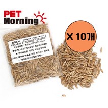 펫모닝 귀리씨앗 12g 10개 국산귀리씨앗 캣그라스 캣, 이거다쿠팡 1