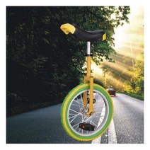 엠제이 BCC024 외발자전거 16/18/20 인치 초보용 입문용 초등 주니어 피트니스, 16, 02번