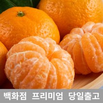 과일 (특등급) 오늘출고 감귤5KG 밀감 귤 제주밀감 제주 [WBB6146], 쿠팡 5KG, 쿠팡 본상품선택