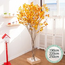 실내인테리어 인조나무 123종 / 플트 조화나무 C, C10.라인-단풍자작나무 250cmK/사방형, 1개