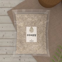 건사방 무우씨 무씨 분말 가루 1kg
