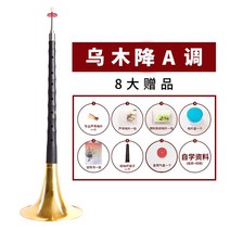 태평소 성인 취미 악기 풀 세트 d-tune d-tune 초심자 엔트리 사이즈 1, Ebony A-flat 노란색 그릇 + 8개의 선