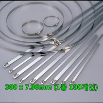 자이안트락 서스타이 써스타이 스테인레스 스틸타이 300mm x 7.96mm (1봉 100개), 100개입