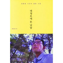 대청호에 뜬 낮달, 양종영(저),문경출판사, 문경출판사