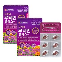 눈에좋은영양제 일양 루테인 30캡슐 2박스 마리골드꽃추출물, 루테인30캡슐x2x1(2개월), 2개
