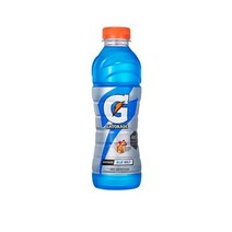 롯데칠성 게토레이 블루볼트 600ml 6개, 상세내용참조
