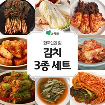 김치 3종세트 (세트1~3) 국산 김치 파김치 알타리무 백김치 오이소박이 깍두기 배추김치 양배추김치 열무물김치, 3