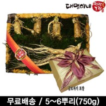 금산인삼 수삼선물세트 5~6뿌리 (750g) 대명이네인삼, 1세트