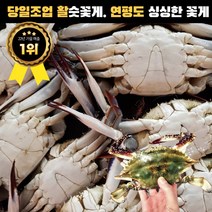 당일조업 활숫꽃게 연평도 살아있는 싱싱한 햇 활꽃게 2kg 3kg 4kg 빙장포장, 활숫꽃게 3kg 빙장포장