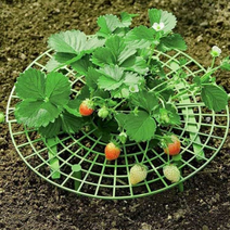 꼿꼿한 참외받침대 딸기받침대 화초지지대 수박 과수