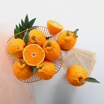 초록자연 제주 한라봉 3kg(8-9과) 가정용 고당도제주 한라봉 할라봉 레드향 황금향 감귤 제주귤 제주도귤 서귀포귤 천혜향 한라봉 카라향 신비향 천해향 천리향, 본상품