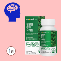 혈행 브레인 징코 은행잎추출물 혈액순환제 은행잎 추출물 플라보놀 기억력 기억력영양제 혈액순환개선제 장코플러스 바나바잎추출물 포스파티딜세린 뇌영양제 수험생영양제 뇌영양제추천, 1병