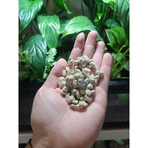 휴가토 난석 중립 350g ( 비바리움 팔루다리움 배수층 )