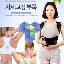 허리 견인 치료기 골반 척추 거북목 교정기 척추측만증 보조기 말린 어깨 골반틀어짐 203, 약국 병원용 의료기기 자세 교정부목벨트 S