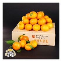제주푸드마씸 서귀포 하례마을 노지감귤 3kg (중소과 2S/S/M 45과 내외 실중량)
