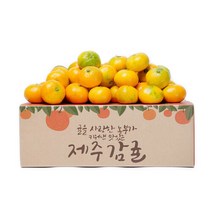 [감동]제주 감귤 소과 9kg(실중량), 1