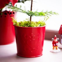 이케아 red 미니 양철 철제 화분 깡통 바스켓 9cm 2개