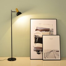 콜린퍼스 장스탠드 플로어 무드등 감성 조명 블랙+8w led 벌브 하얀빛, 색상