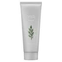미샤 개똥쑥 팩 폼 클렌저, 150ml x 1개