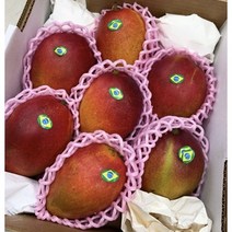 추석 명절 브라질 햇 애플망고 선물세트 2kg(5수내외), 4kg(8과내외)