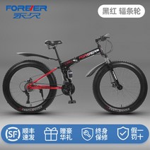 수입 풀샥 MTB 산악자전거 팻바이크 오프로드, 30단, 24인치, 옵션2