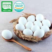 [청년프레쉬] 무항생제 난각번호1번 청계란 유정란 동물복지 청란 계란 달걀 초란 청계닭 20구 40구 부화용, 1개, 초란(식용 청란)