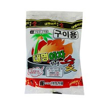 위너리스 야외 캠핑 야영 등 대용량 야자 숯 착화탄 바베큐 구이용 숯 택1, 대명 야자숯40개