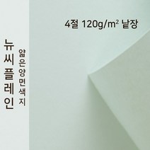 뉴씨플레인 종이문화 얇은 양면색지 120g 4절 낱장 1매 No.67 연옥, 1장