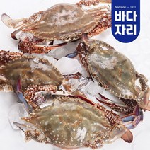 [태안 산지직송] 제철 생물 햇꽃게 2kg 6-10미 내외