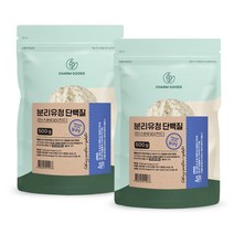 락토프리 단백질 분말 가루 유당 제거 분리 유청 단백질 WPI 고순도 프로틴 파우더 쉐이크 근육 뼈 보충제, 2팩, 500g