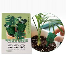 화분에 꼽아쓰는 비료 2입 관엽식물 몬스테라 아이비 미니비료 원예용품 비료 소량비료 작은비료 흙비료 베란다텃밭 원예자재 농약 꼽는비료, 1