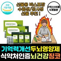 식약처인증 은행잎추출물 시니어 두 뇌 기억력 영양제 프리미엄 징코 혈행 항산화 면역 인지 기능 활성 산소 제거 혈액 억제 공부 수능 집중력 머리 에좋은 개선 폴라보놀배당체 음식