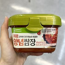 기획_풀무원 찬마루매콤양념쌈장 450g x 2개, 아이스박스포장