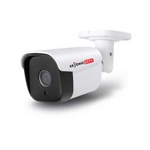 세종CCTV 실외카메라 2M