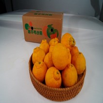 제주 만감류 한라봉 선물용 제주도 택배 제철과일 설 명절선물 세트 당도 높은 과일 한라봉 3kg 5kg 5키로 (부직포가방포함), 한라봉 선물용(중)3kg