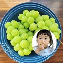 김천 상주 경산 샤인머스켓 2kg 수출용 제철 마이하트 캠벨 애플 크림슨 씨없는 거봉 망고 포도 청포도, 샤인머스켓2kg