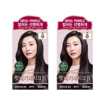AP 려 우아채 새치크림 염색약 3N 흑갈색x2개, 흑갈색, 2개