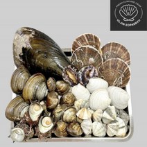 모듬 조개구이 세트 캠핑 찜 조개탕 키조개 조개세트, 가족모듬(3~4인용)