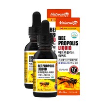 2병 마인드헬스 비프로폴리스 리퀴드 액상 스포이드 플라보노이드 온가족 생활활력 항산화 목에좋은 면역력 구강 향균작용 환절기 건강관리