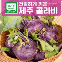 아삭아삭 고당도 제주산 농장직송 제주 햇 콜라비 3kg 5kg 10kg, 1. 제주 콜라비 3kg