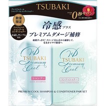 일본직발송 6. 동백(TSUBAKI) TSUBAKI(동백) 프리미엄 쿨 펌프 페어 세트 490밀리리터 (X 2) B091TP3KTX, One Size_One Color, One Size_One Color, 상세 설명 참조0