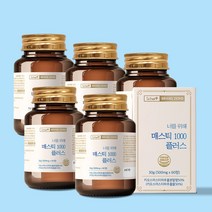스캇나인 너를 위해 위건강 그리스산 매스틱 1000 플러스 60정, 5개