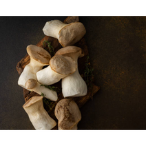 산지직송 가정용 참송이버섯 1kg 국내산참송이버섯 송이버섯 참송이 자연산송이버섯 송이버섯국산 참송이버섯선물세트 송이 버섯 국내산