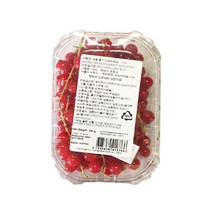선인 냉동 줄기 레드커런트 125g wj
