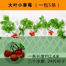 복도 장식 그린 등나무 페이크 덩쿨 라탄 심플 비닐 플라워 컬러 펀텐트 전시장 녹색 식물 트로피칼 2622582227, F79 앵두나무 1가방