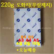 [ 영일페이퍼 ] 전문가용 도화지 / 220g / 100개 / B5 B4 A5 A4 A3 16절 8절 5절 4절 / 미술수업용 켄트지, 무림제지 4절