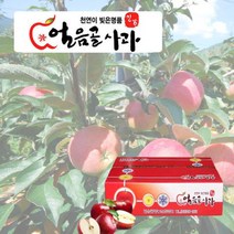 [GAP]밀양 얼음골사과 선물세트 5kg 23~24과, 단품