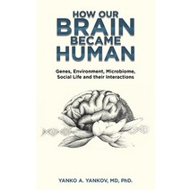(영문도서) How Our Brain Became Human: Genes Environment Microbiome Social Life and Their Interactions Hardcover, Trafford Publishing, English, 9781698713113