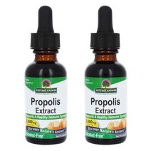 네이쳐스앤서 프로폴리스 2000mg 리퀴드, 30ml, 2개