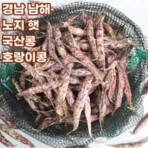 국산 햇 강낭콩 호랑이콩 1kg 3kg 5kg, 급냉호랑이콩_깐콩_1kg